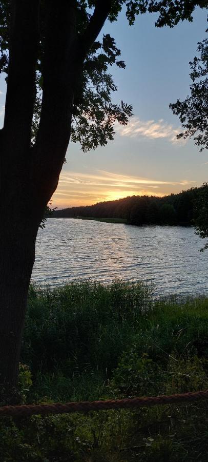 Domek Letniskowy U Marcina I Ani Borsk Kültér fotó